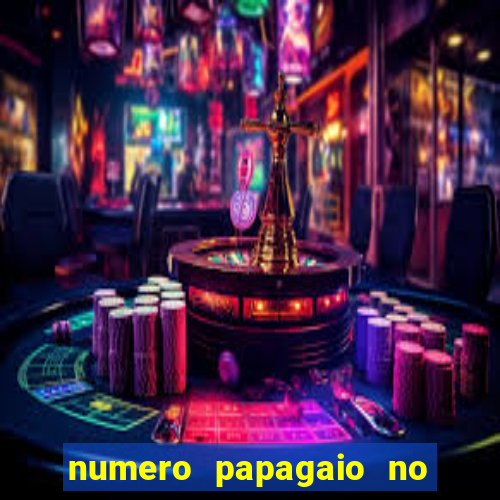 numero papagaio no jogo do bicho